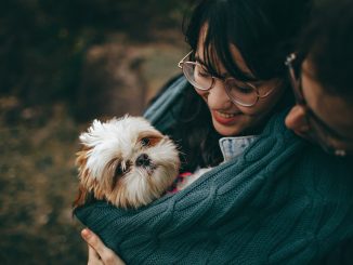 pour quelle raison le chien est-il le meilleur ami de l'homme ?