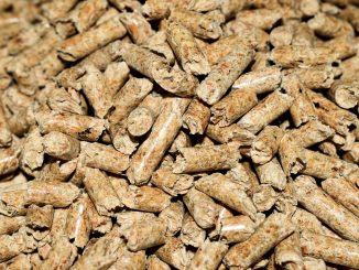 Pellets de bois pour chauffage dans un poêle à granulés