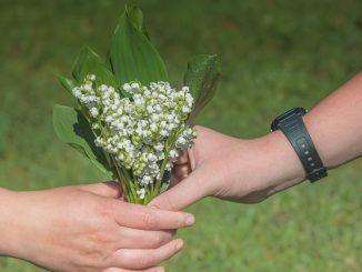 Les origines du muguet du 1er Mai